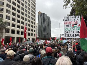 ‪Tens of thousands of pro-Palestinian demonstrators crossed the Sydney Harbour Bridge on Sunday in a rain-soaked but peaceful protest that organisers hailed as a historic moment for Australia's solidarity with Gaza.‬