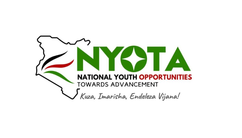 Government Clarifies Nine Key Questions About the NYOTA Aptitude Test