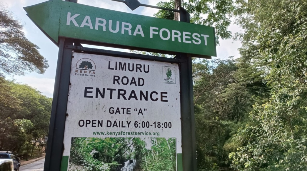 Kenya Forest Services Confirms NYS Barracks Development at Headquarters